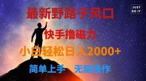 (10754期)最新风口!快手撸磁力,野路子,小白无脑操作日入2000+-网站游戏源码-黑科技工具分享-www.0592tk.cn-厦门腾空互联
