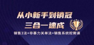从小新手到销冠 三合一速成:销售3法+非暴力关单法+销售系统挖需课 (27节)-网站游戏源码-黑科技工具分享-www.0592tk.cn-厦门腾空互联