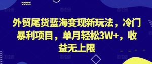 外贸尾货蓝海变现新玩法,冷门暴利项目,单月轻松3W+,收益无上限【揭秘】-网站游戏源码-黑科技工具分享-www.0592tk.cn-厦门腾空互联