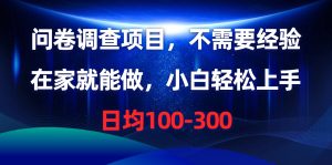 （10402期）问卷调查项目，不需要经验，在家就能做，小白轻松上手，日均100-300-网站游戏源码-黑科技工具分享-www.0592tk.cn-厦门腾空互联