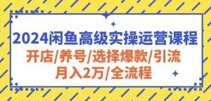 2024闲鱼高级实操运营课程：开店/养号/选择爆款/引流/月入2万/全流程-网站游戏源码-黑科技工具分享-www.0592tk.cn-厦门腾空互联