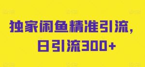 独家闲鱼精准引流，日引流300+【揭秘】-网站游戏源码-黑科技工具分享-www.0592tk.cn-厦门腾空互联
