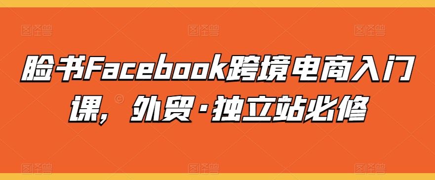 脸书Facebook跨境电商入门课，外贸·独立站必修-网站游戏源码-黑科技工具分享-www.0592tk.cn-厦门腾空互联