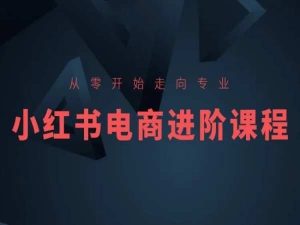 从零开始走向专业,小红书电商进阶课程-网站游戏源码-黑科技工具分享-www.0592tk.cn-厦门腾空互联
