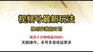(10591期)视频号最新玩法,每日一小时月入5000+-网站游戏源码-黑科技工具分享-www.0592tk.cn-厦门腾空互联