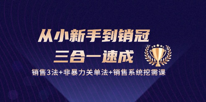 从小新手到销冠三合一速成：销售3法+非暴力关单法+销售系统挖需课 (27节)-网站游戏源码-黑科技工具分享-www.0592tk.cn-厦门腾空互联