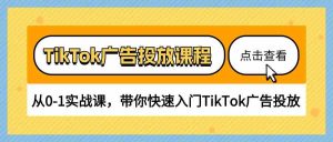 TikTok广告投放课程,从0-1实战课,带你快速入门TikTok广告投放(30节课)-网站游戏源码-黑科技工具分享-www.0592tk.cn-厦门腾空互联