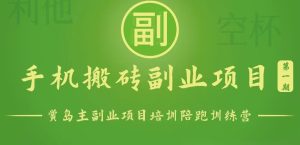手机搬砖小副业项目训练营1.0，能用手机做的简单小副业-网站游戏源码-黑科技工具分享-www.0592tk.cn-厦门腾空互联