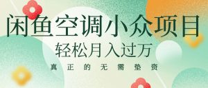（10525期）闲鱼卖空调小众项目 轻松月入过万 真正的无需垫资金-网站游戏源码-黑科技工具分享-www.0592tk.cn-厦门腾空互联