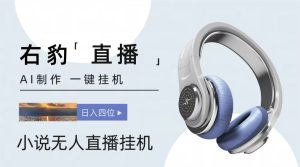 右豹小说无人直播挂机吸金项目,简单易行收益稳定, 月入1000+-网站游戏源码-黑科技工具分享-www.0592tk.cn-厦门腾空互联