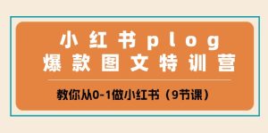 (10553期)小红书 plog爆款图文特训营,教你从0-1做小红书(9节课)-网站游戏源码-黑科技工具分享-www.0592tk.cn-厦门腾空互联
