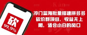 冷门蓝海批量搭建拼多多砍价群项目，收益无上限，适合小白的风口【揭秘】-网站游戏源码-黑科技工具分享-www.0592tk.cn-厦门腾空互联
