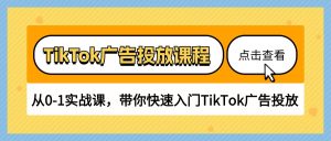 (10731期)TikTok广告投放课程,从0-1实战课,带你快速入门TikTok广告投放(30节课)-网站游戏源码-黑科技工具分享-www.0592tk.cn-厦门腾空互联