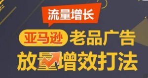 亚马逊流量增长-老品广告放量增效打法,循序渐进,打造更多TOP listing-网站游戏源码-黑科技工具分享-www.0592tk.cn-厦门腾空互联