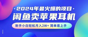（10863期）2024年最火爆的项目，闲鱼卖苹果耳机，新手小白轻松月入2W+简单易上手-网站游戏源码-黑科技工具分享-www.0592tk.cn-厦门腾空互联
