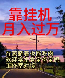 （10838期）靠挂机，日入1000+，躺着也能吃肉，适合宝爸宝妈学生党工作室，电脑手…-网站游戏源码-黑科技工具分享-www.0592tk.cn-厦门腾空互联