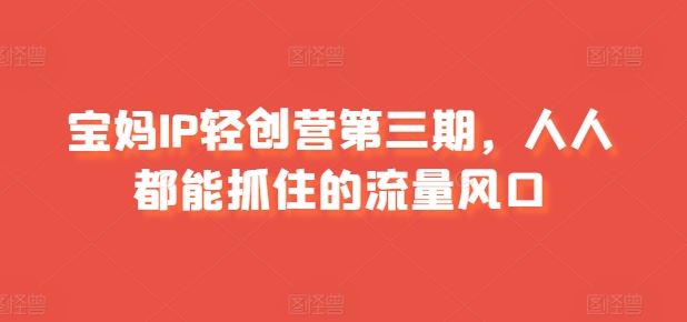 宝妈IP轻创营第三期，人人都能抓住的流量风口-网站游戏源码-黑科技工具分享-www.0592tk.cn-厦门腾空互联