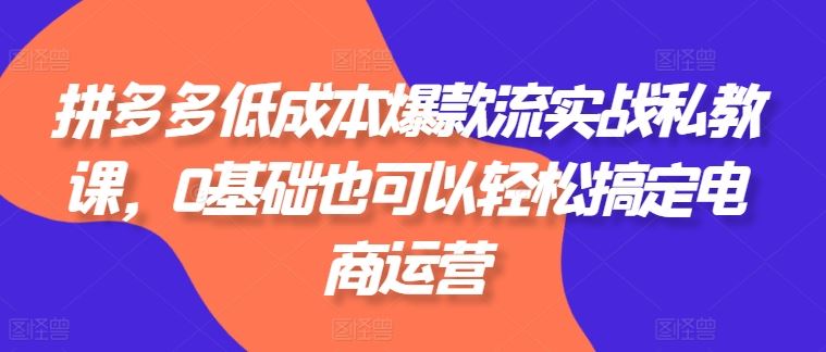 拼多多低成本爆款流实战私教课，0基础也可以轻松搞定电商运营-网站游戏源码-黑科技工具分享-www.0592tk.cn-厦门腾空互联