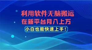 (11078期)利用软件无脑搬运,在新平台月入上万,小白也能快速上手-网站游戏源码-黑科技工具分享-www.0592tk.cn-厦门腾空互联