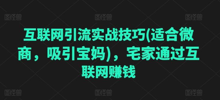 互联网引流实战技巧(适合微商，吸引宝妈)，宅家通过互联网赚钱-网站游戏源码-黑科技工具分享-www.0592tk.cn-厦门腾空互联