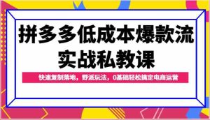 拼多多低成本爆款流实战私教课,快速复制落地,野派玩法,0基础轻松搞定电商运营-网站游戏源码-黑科技工具分享-www.0592tk.cn-厦门腾空互联
