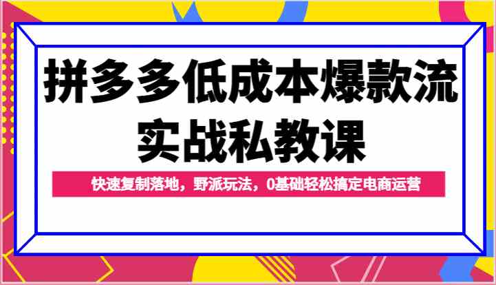 拼多多低成本爆款流实战私教课，快速复制落地，野派玩法，0基础轻松搞定电商运营-网站游戏源码-黑科技工具分享-www.0592tk.cn-厦门腾空互联
