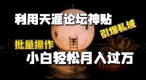 利用天涯论坛神贴，引爆私域，批量操作，小白轻松月入过w【揭秘】-网站游戏源码-黑科技工具分享-www.0592tk.cn-厦门腾空互联