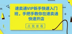 速卖通VIP新手快速入门班，手把手教你在速卖通快速开店-网站游戏源码-黑科技工具分享-www.0592tk.cn-厦门腾空互联