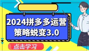 2024拼多多运营策略蜕变3.0-提升拼多多认知、制定运营策略、实现盈利收割等-网站游戏源码-黑科技工具分享-www.0592tk.cn-厦门腾空互联