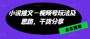 小说推文—视频号玩法及思路，干货分享-网站游戏源码-黑科技工具分享-www.0592tk.cn-厦门腾空互联
