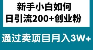 （10843期）新手小白日引流200+创业粉,通过卖项目月入3W+-网站游戏源码-黑科技工具分享-www.0592tk.cn-厦门腾空互联