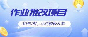 作业批改项目30元/时,简单小白轻松入手,非常适合兼职-网站游戏源码-黑科技工具分享-www.0592tk.cn-厦门腾空互联