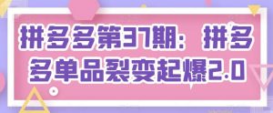 拼多多第37期:拼多多单品裂变起爆2.0-网站游戏源码-黑科技工具分享-www.0592tk.cn-厦门腾空互联