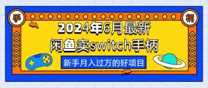 (10831期)2024年6月最新闲鱼卖switch游戏手柄,新手月入过万的第一个好项目-网站游戏源码-黑科技工具分享-www.0592tk.cn-厦门腾空互联