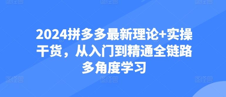 2024拼多多最新理论+实操干货，从入门到精通全链路多角度学习-网站游戏源码-黑科技工具分享-www.0592tk.cn-厦门腾空互联