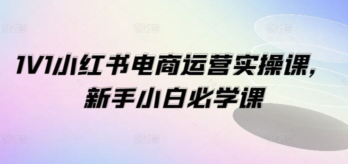 1V1小红书电商运营实操课，新手小白必学课-网站游戏源码-黑科技工具分享-www.0592tk.cn-厦门腾空互联