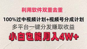 (11862期)利用软件双重去重,100%过中视频+视频号分成计划小白也可以月入4W+-网站游戏源码-黑科技工具分享-www.0592tk.cn-厦门腾空互联