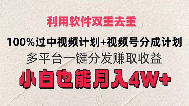 (11862期)利用软件双重去重,100%过中视频+视频号分成计划小白也可以月入4W+-网站游戏源码-黑科技工具分享-www.0592tk.cn-厦门腾空互联