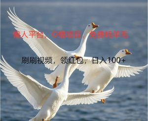 O撸懒人平台，全新手机广告不推广单机100+，刷刷就有捡钱一样， 简单无脑稳定-网站游戏源码-黑科技工具分享-www.0592tk.cn-厦门腾空互联