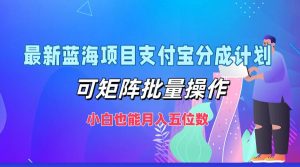 最新蓝海项目支付宝分成计划,可矩阵批量操作,小白也能月入五位数-网站游戏源码-黑科技工具分享-www.0592tk.cn-厦门腾空互联