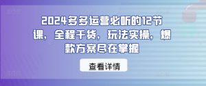 2024多多运营必听的12节课，全程干货，玩法实操，爆款方案尽在掌握-网站游戏源码-黑科技工具分享-www.0592tk.cn-厦门腾空互联