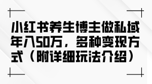 （12619期）小红书养生博主做私域年入50万，多种变现方式（附详细玩法介绍）-网站游戏源码-黑科技工具分享-www.0592tk.cn-厦门腾空互联