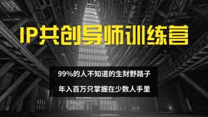 (12504期)IP共创导师训练营 99%的人不知道的生财野路子 只掌握在少数人手里-网站游戏源码-黑科技工具分享-www.0592tk.cn-厦门腾空互联