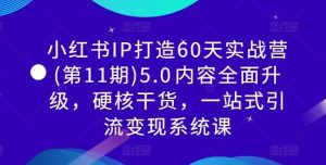 小红书IP打造60天实战营(第11期)5.0​内容全面升级，硬核干货，一站式引流变现系统课-网站游戏源码-黑科技工具分享-www.0592tk.cn-厦门腾空互联