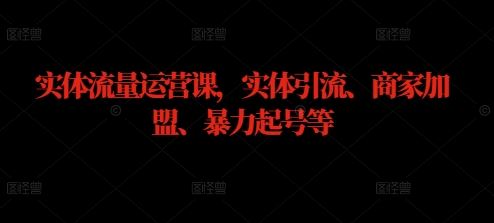 实体流量运营课，实体引流、商家加盟、暴力起号等-网站游戏源码-黑科技工具分享-www.0592tk.cn-厦门腾空互联