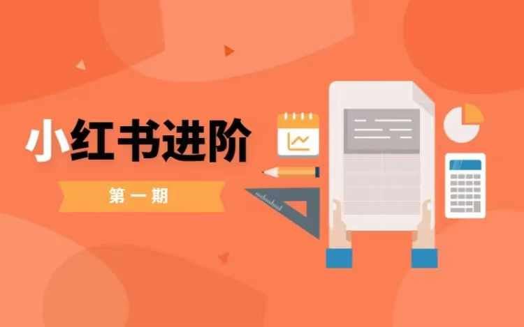 小红书进阶篇，零基础小白实战课，普通人变现的课程-网站游戏源码-黑科技工具分享-www.0592tk.cn-厦门腾空互联