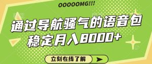 骚气的导航语音包，自用的同时还可以作为项目操作，月入8000+-网站游戏源码-黑科技工具分享-www.0592tk.cn-厦门腾空互联