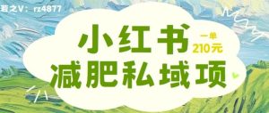 小红书减肥粉,私域变现项目,一单就达210元,小白也能轻松上手【揭秘】-网站游戏源码-黑科技工具分享-www.0592tk.cn-厦门腾空互联