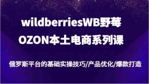 wildberriesWB野莓/OZON本土电商系列课,俄罗斯平台的基础实操技巧/产品优化/爆款打造-网站游戏源码-黑科技工具分享-www.0592tk.cn-厦门腾空互联