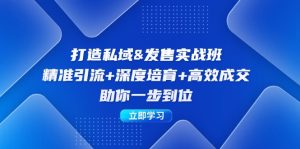 （12642期）打造私域&发售实操班：精准引流+深度培育+高效成交，助你一步到位-网站游戏源码-黑科技工具分享-www.0592tk.cn-厦门腾空互联